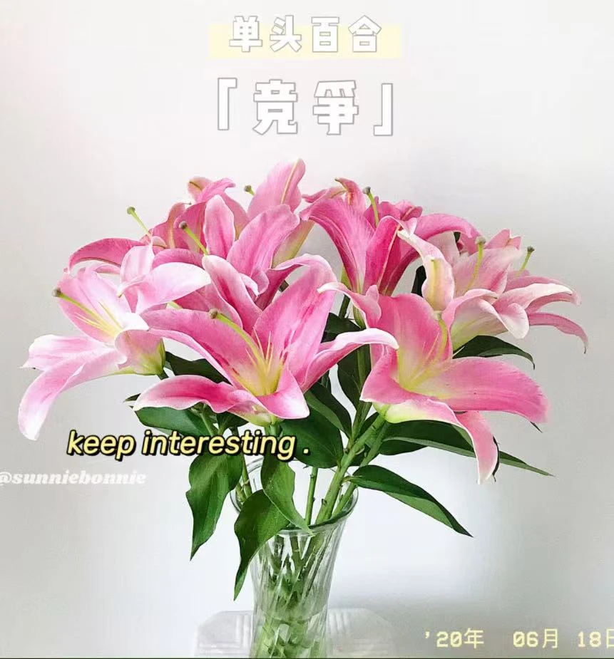 【竞争香水百合-3头5枝】满2单中通特快冷链 送货上门
