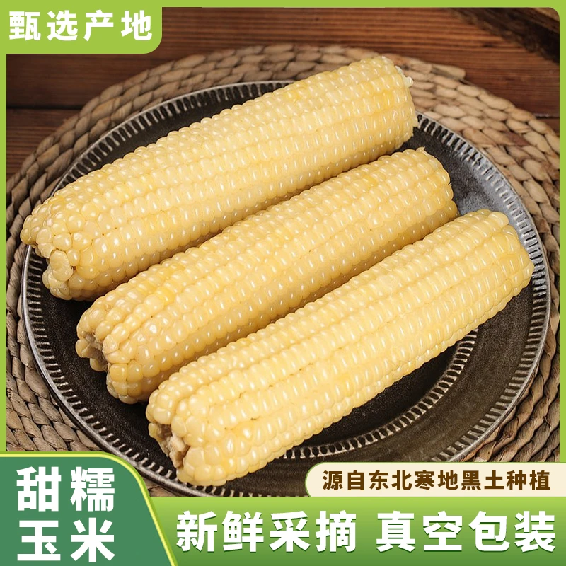 [甜糯玉米]黄白糯新鲜玉米棒真空包装8根独立袋装糯玉米香甜软糯
