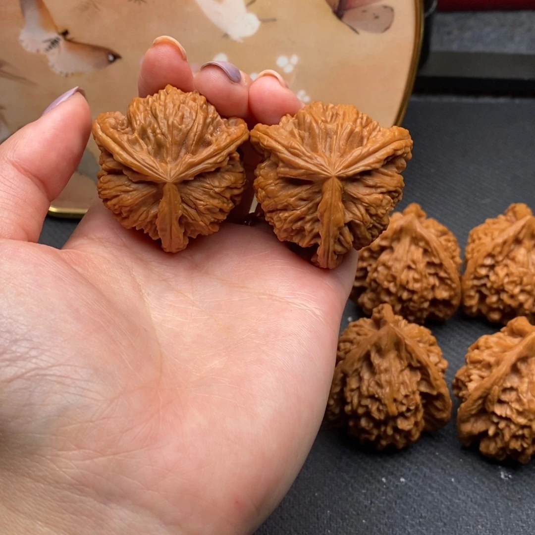 听*白狮子1111111111