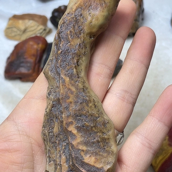 木***淘石材戈壁牧民美石原石