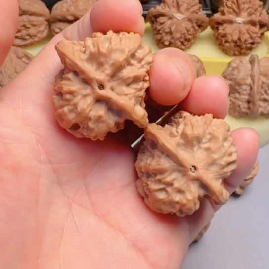野狼骨质好文玩核桃