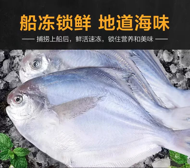 野生海捕银鲳鱼 5斤(6/7个一斤）顺丰包邮