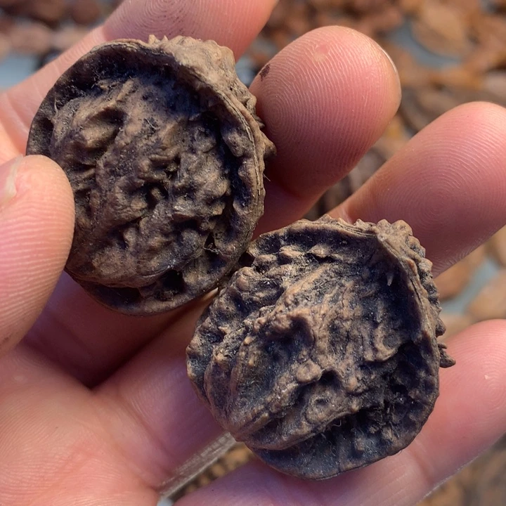 猴头核桃把件拿姐100