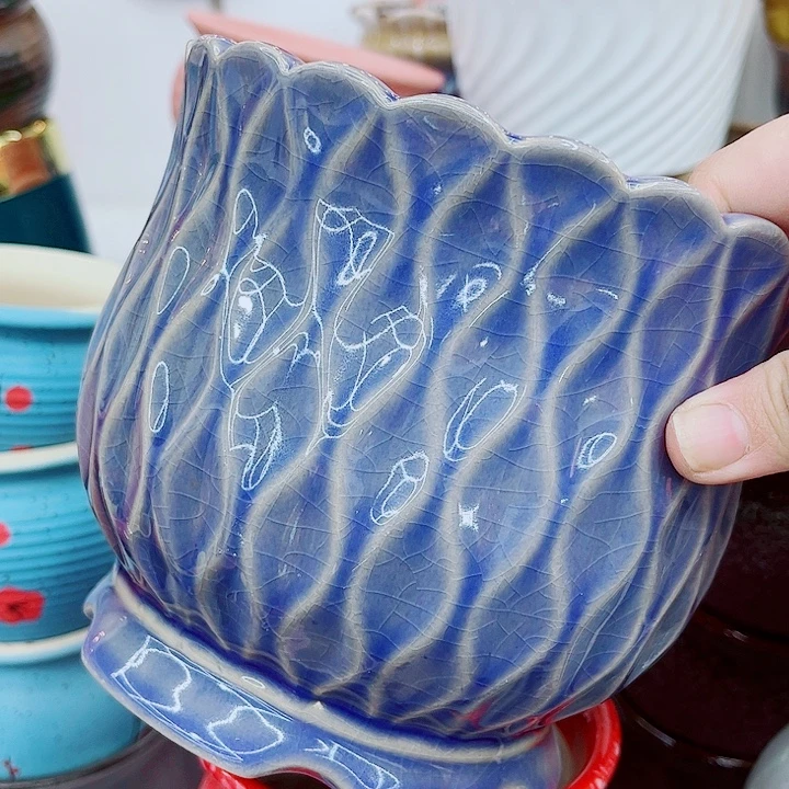 多肉植物陶瓷花盆