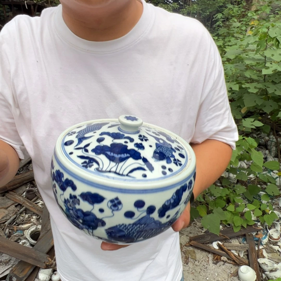 瓷片景德镇陶瓷青花鱼藻纹密封罐一个