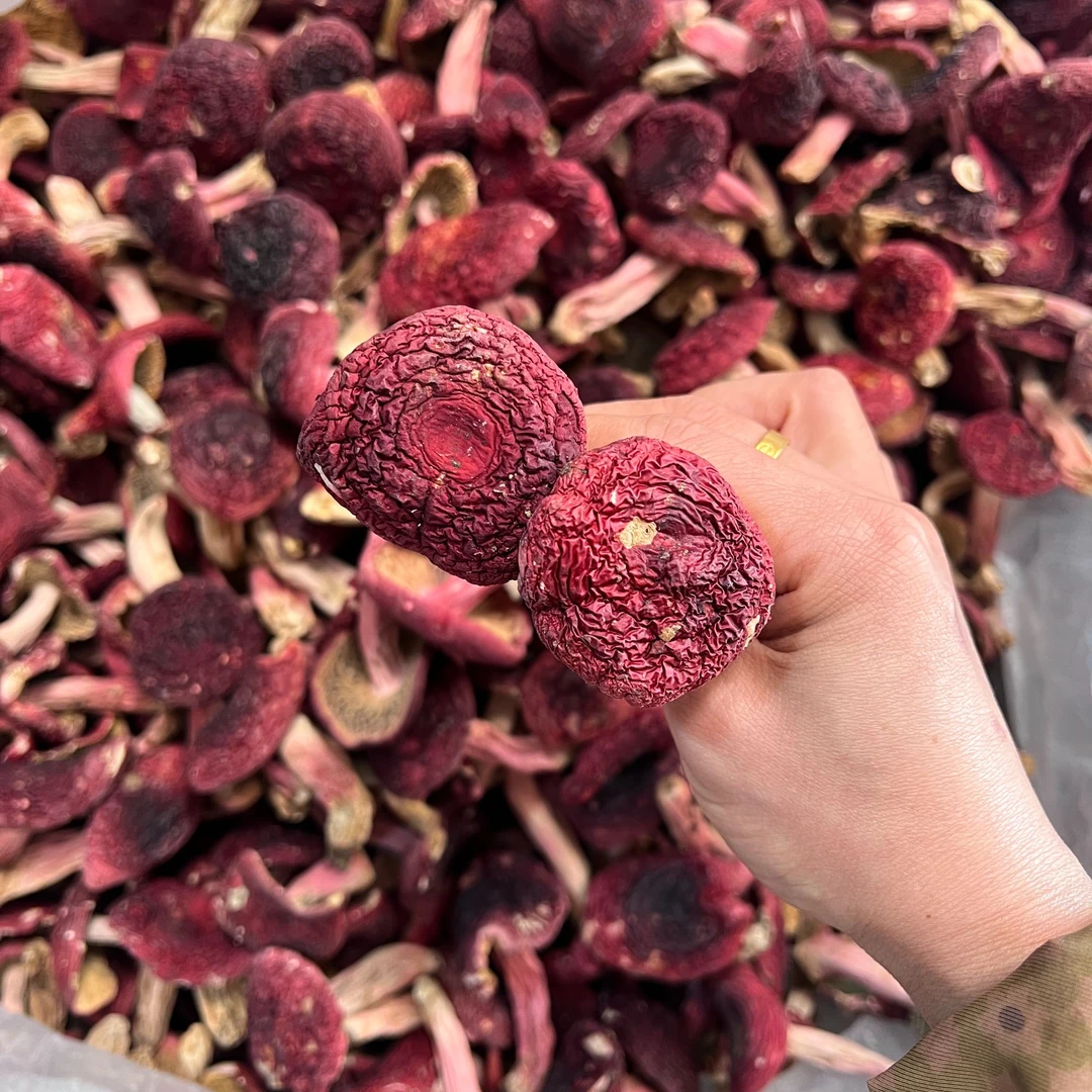 福建三明红菇中大标菇配礼盒干货红菇煲汤炖汤月子菇