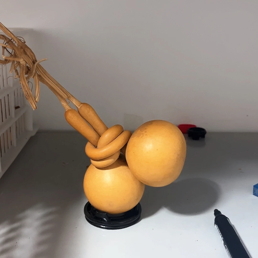 哈哈哈哈哈哈哈哈哈开始抢