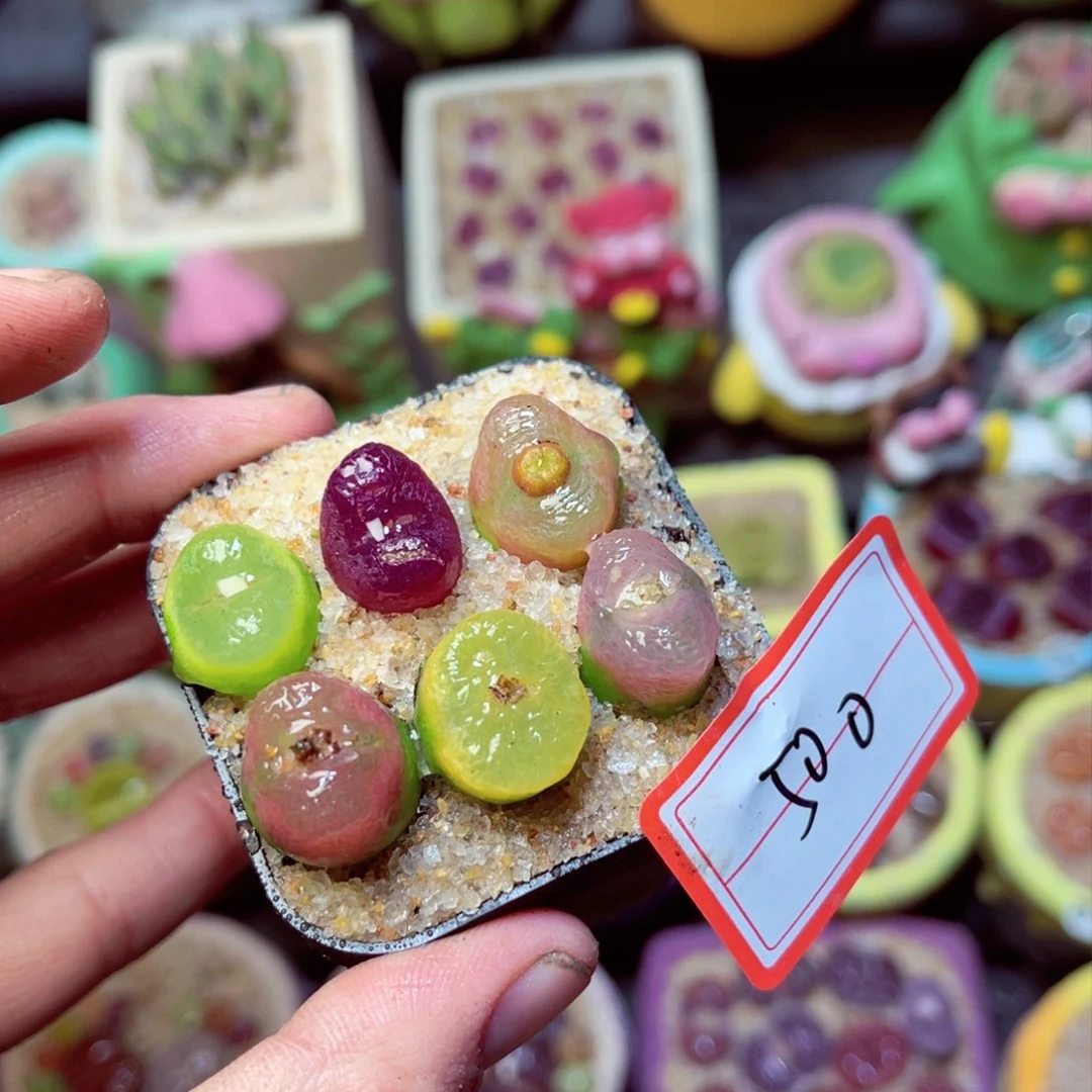 500脱土发11111111111