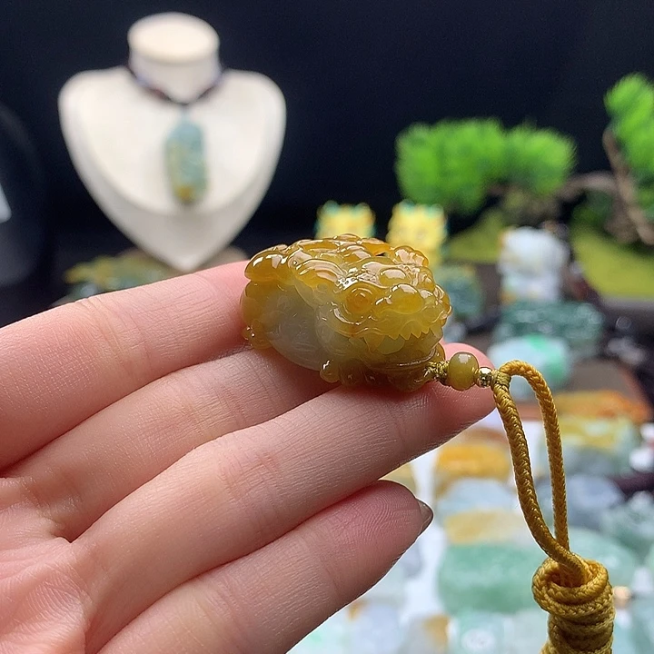 翡翠未镶嵌颈饰貔貅14