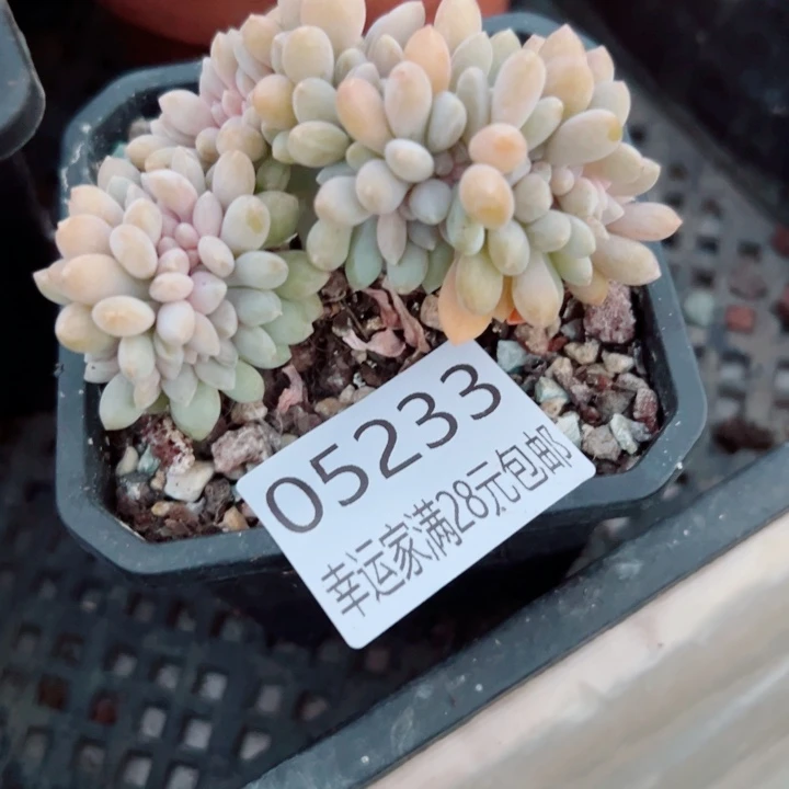 幸运的是我还没遇到过