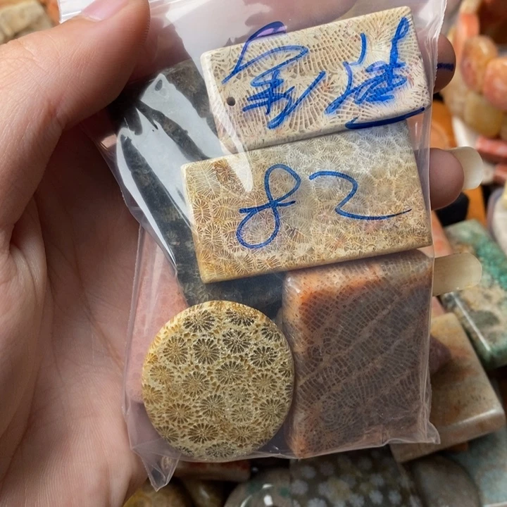 金****颈饰未镶嵌硅化珊瑚（珊瑚玉）