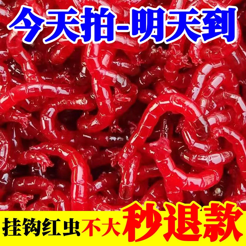 【今日特价】鲜活红虫活饵特大号挂钩公虫批发鱼饵料喂鱼活饵红虫