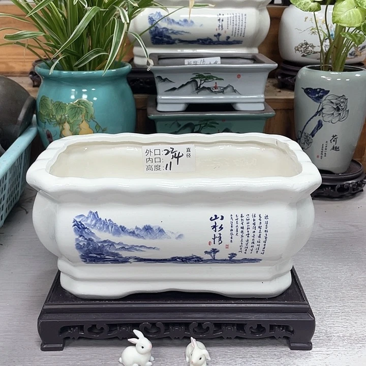 精美花盆抢购福利