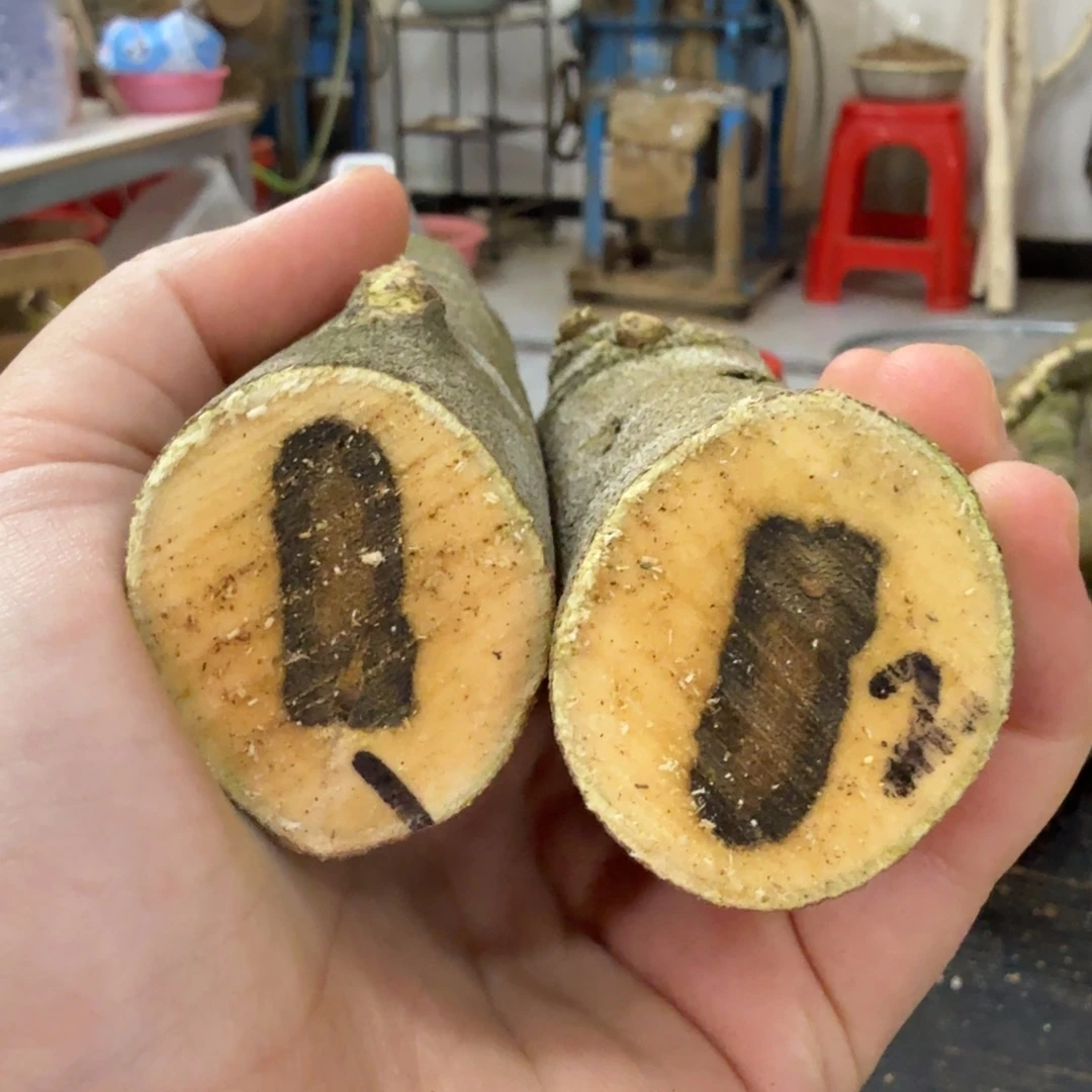 线香奇楠沉香原木