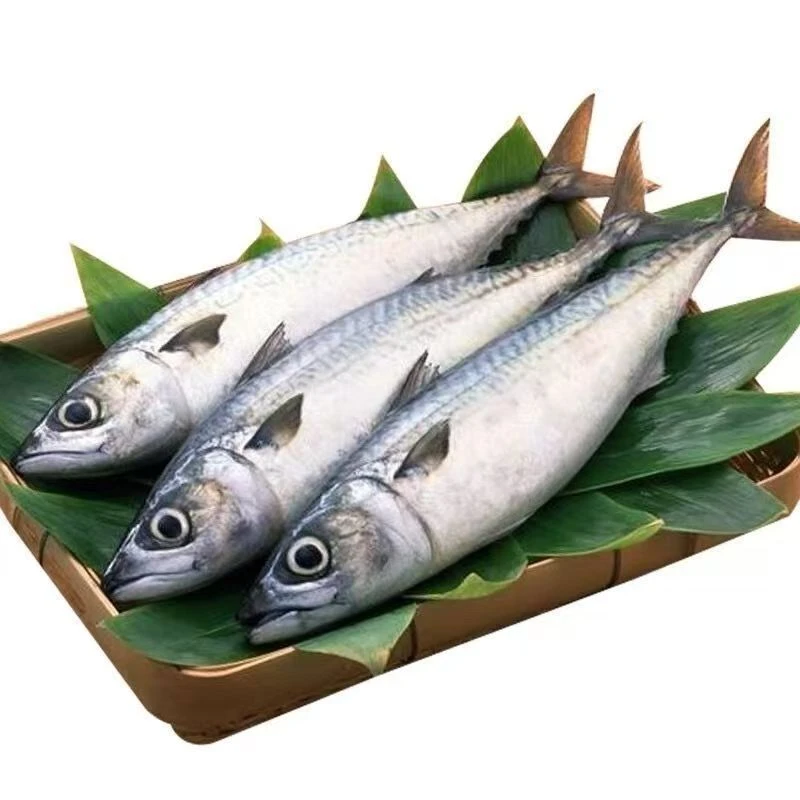 浮力，渤海湾鲐鲅鱼/青占鱼/偶有破皮易脱刺介意勿拍顺丰包邮