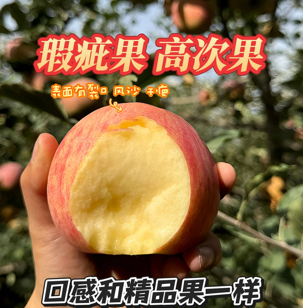 【阿克苏冰糖心苹果次果瑕疵果】25年头茬阿克苏新鲜采摘京东包邮