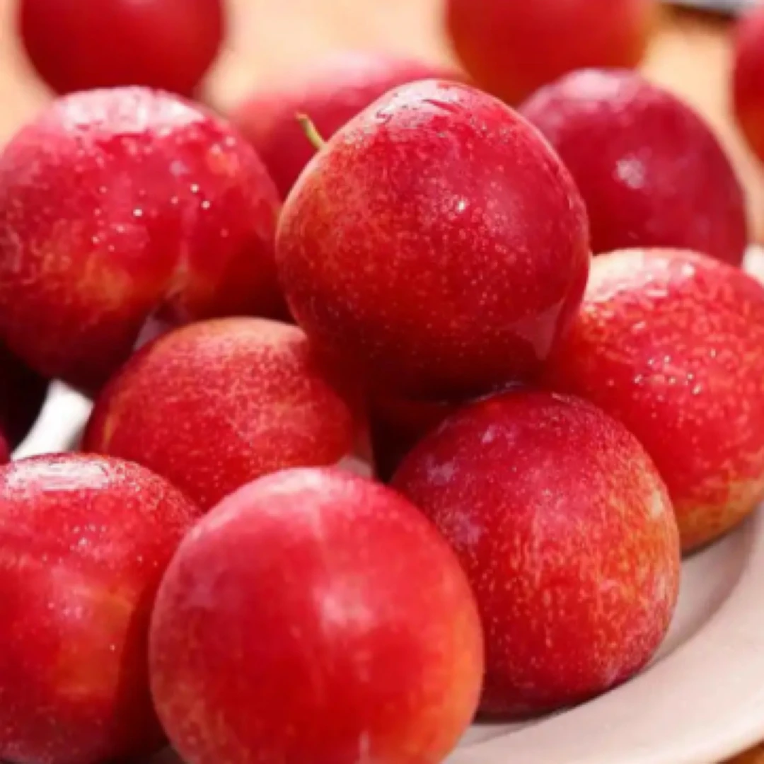 樱桃李智利2斤5斤3J4J5J海运