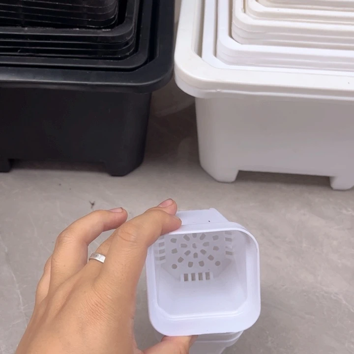 白方口6高6一组30个