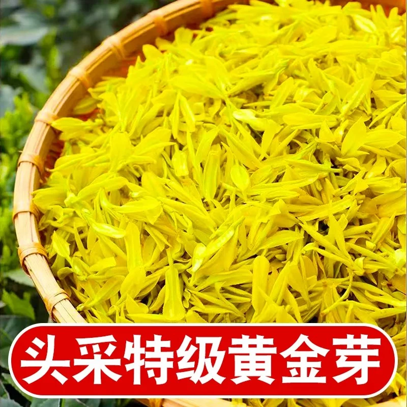 2025新茶【头采特级黄金芽】正宗浓香型正品高档绿茶散装罐装礼盒