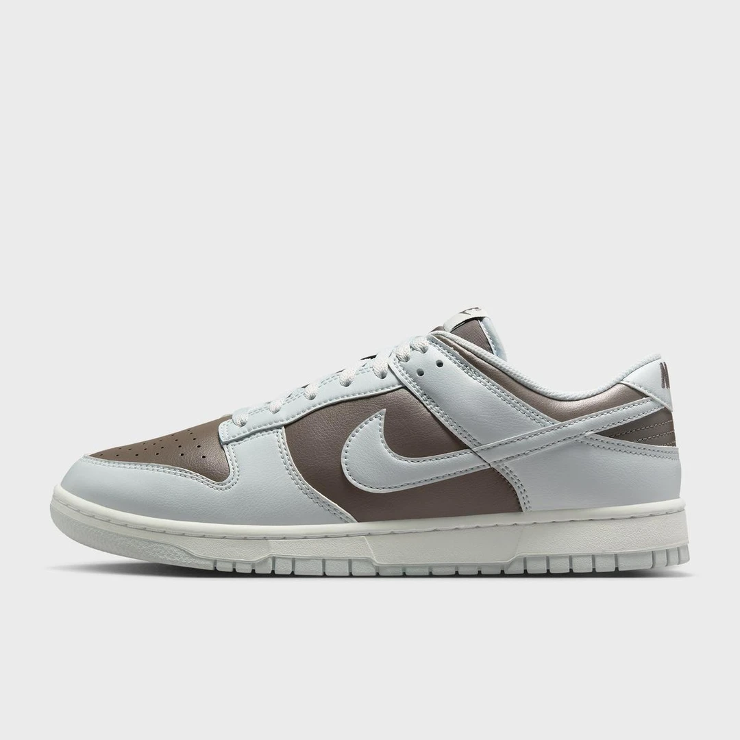 耐克｜DUNK LOW RETRO 时尚潮流 耐磨舒适 男子休闲鞋HF5441-202