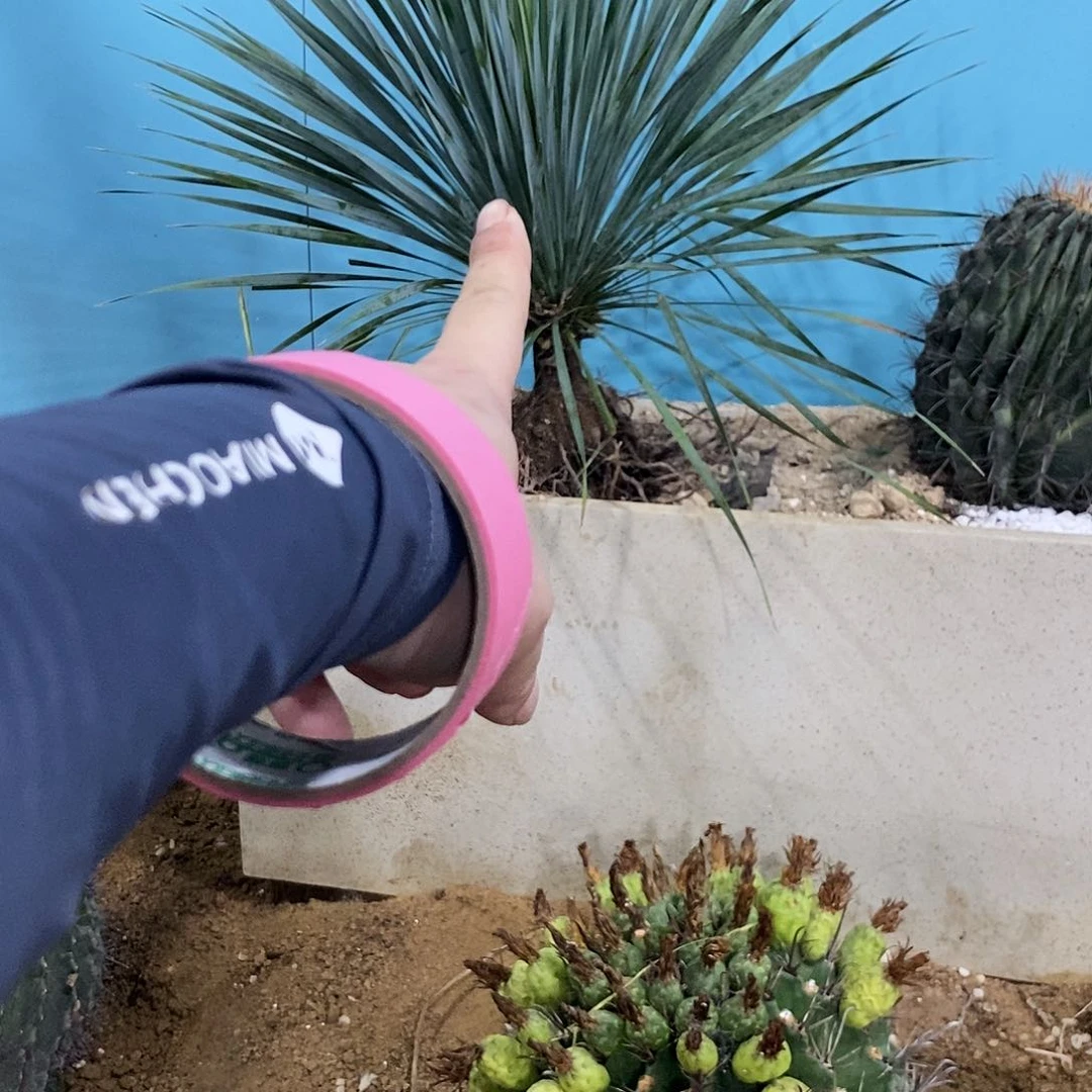 无花朵运****文000000000000000000