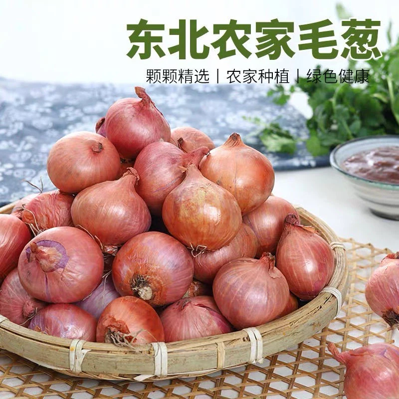 (顺丰包邮)新鲜小毛葱小洋葱红葱头产地直发新鲜毛葱炒吃蘸酱即食