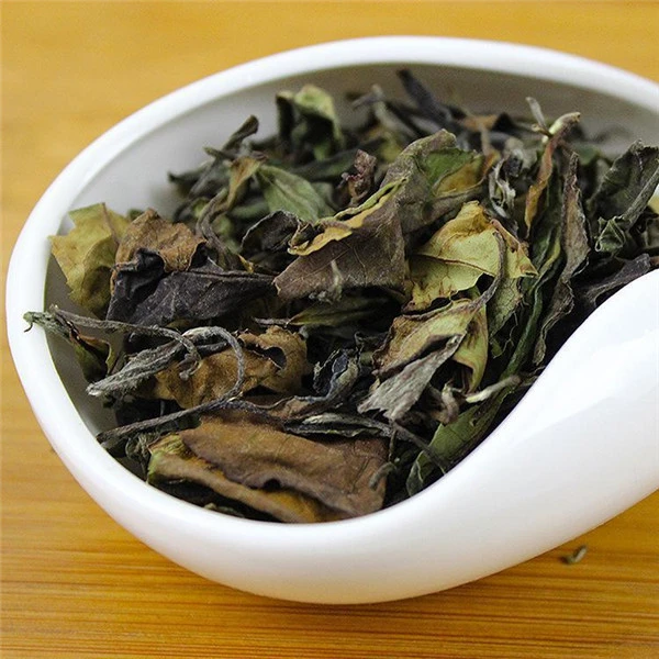 【白茶】2025年云南普洱茶白莺山古树头春白茶250g