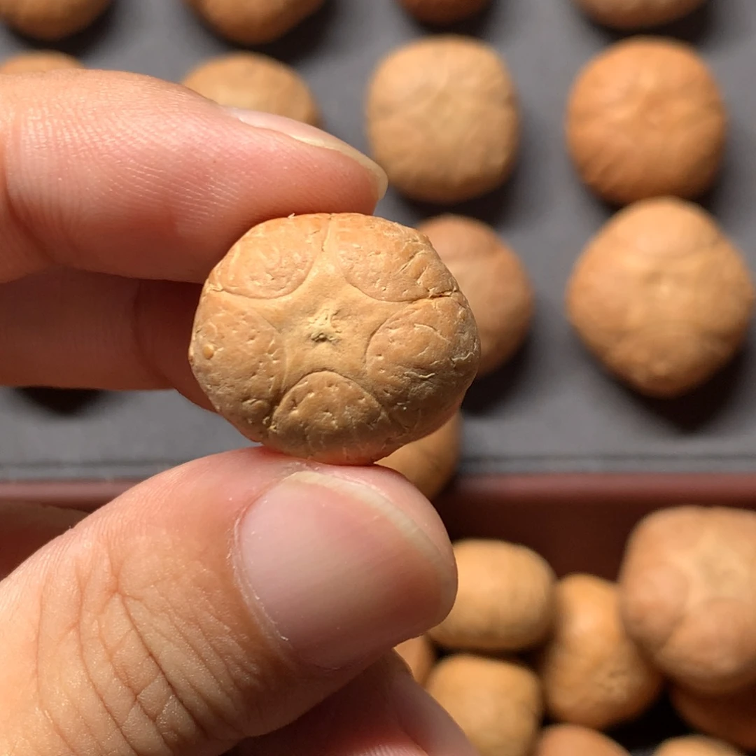 突***突凤眼菩提吊坠20mm尼泊尔五星单籽