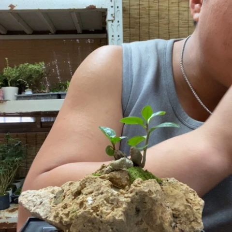 红陶?****?一物一拍所见即所得99