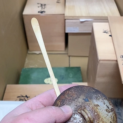 紫砂哈哈哈哈哈哈哈哈哈