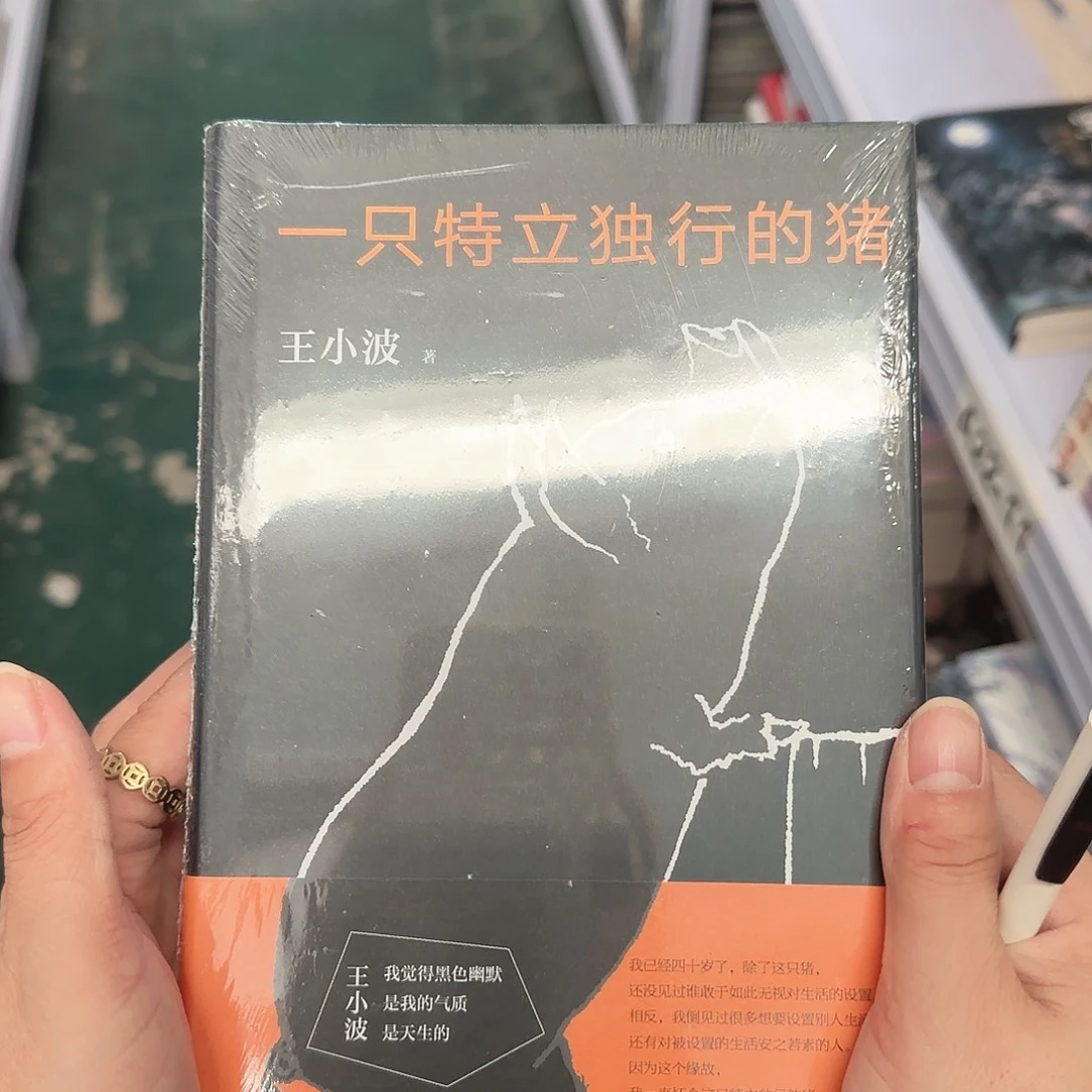 一只特立独行的猪闪购