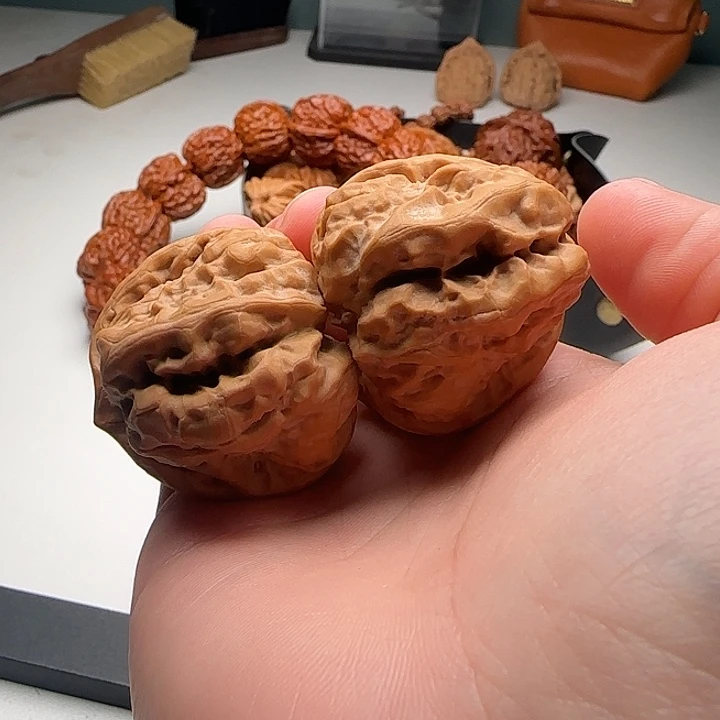 39-43-35肌肉蛙八腿开背S31号