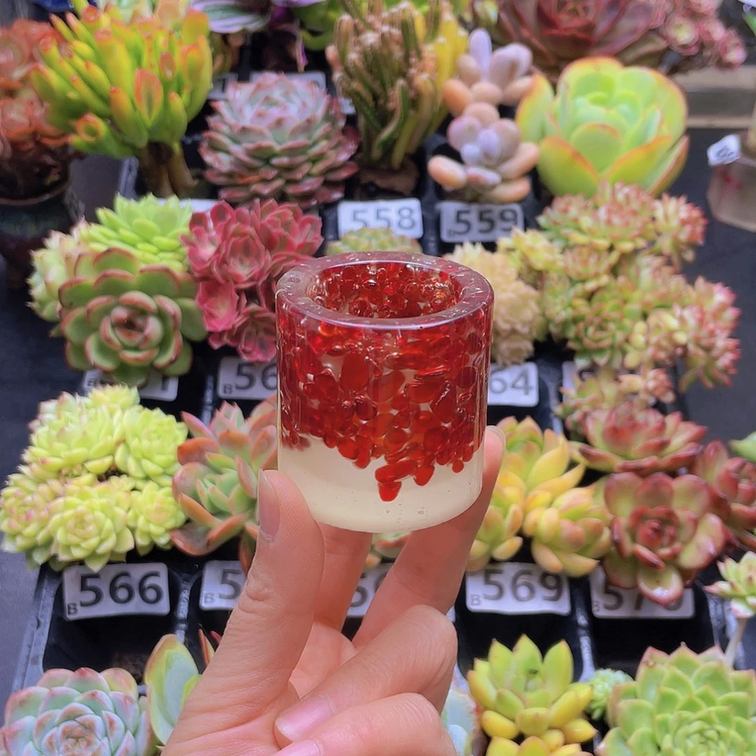 欧***所花钱花钱花钱花钱花钱