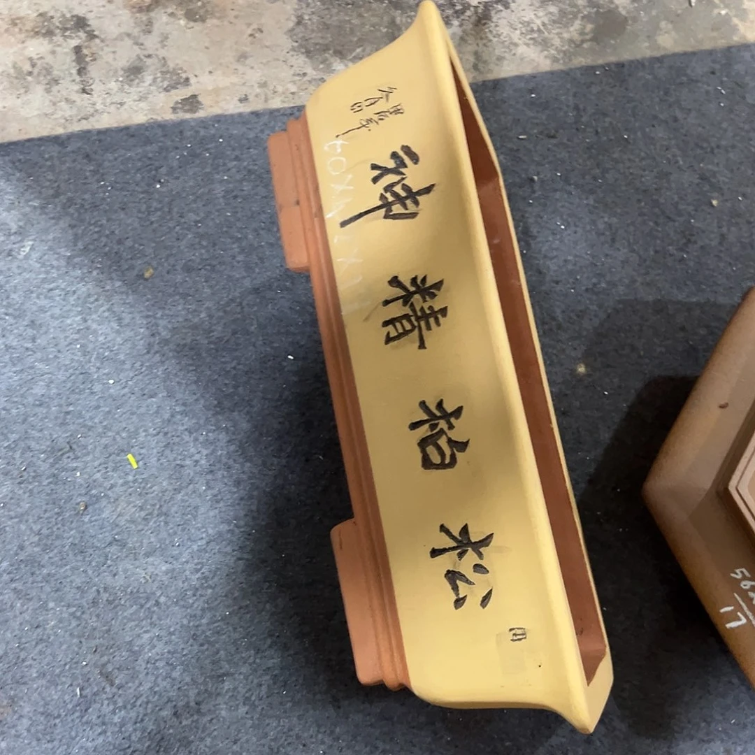 紫砂花盆呜呜呜呜我