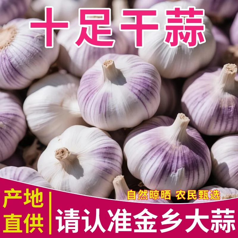 【3斤大蒜】紫白皮大蒜大果多瓣红皮蒜头独蒜头干蒜新货批发50g-5斤