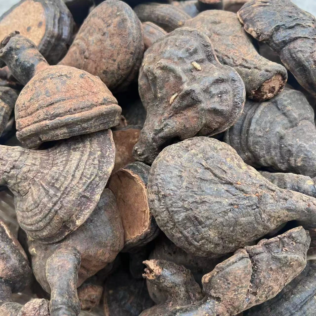 翠翠家-【小号】西藏墨脱紫灵芝黑灵芝乌灵芝