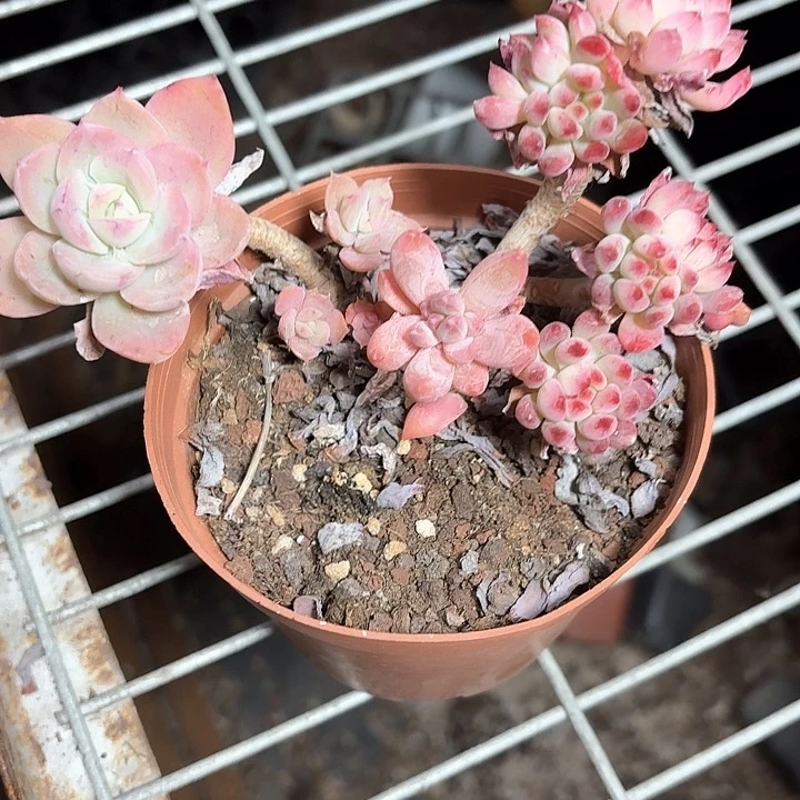 c x x c x x c f 090