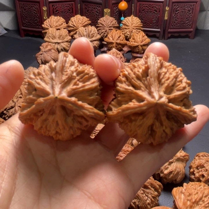 全品流星雨三棱40尺寸核桃哈哈哈哈哈哈