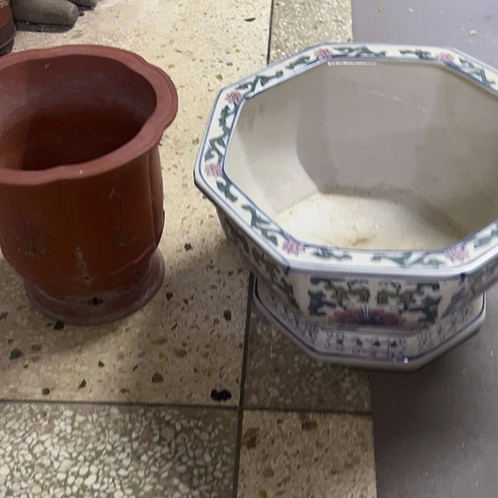 意***终1111111111111111点11