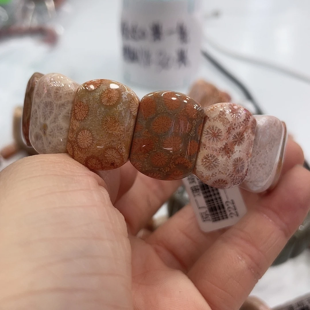 未镶嵌手串硅化珊瑚（珊瑚玉）761