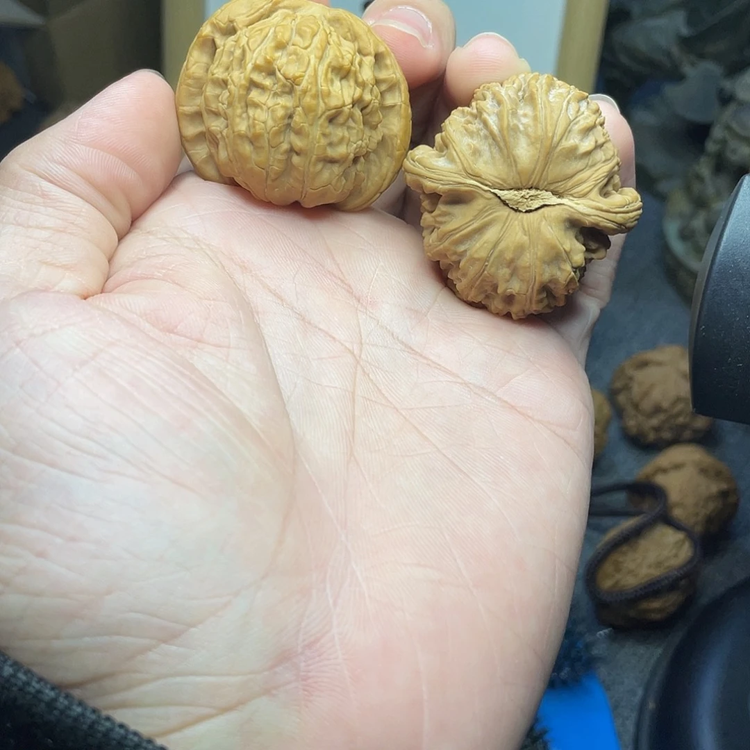 文玩核桃吊坠白狮子全品