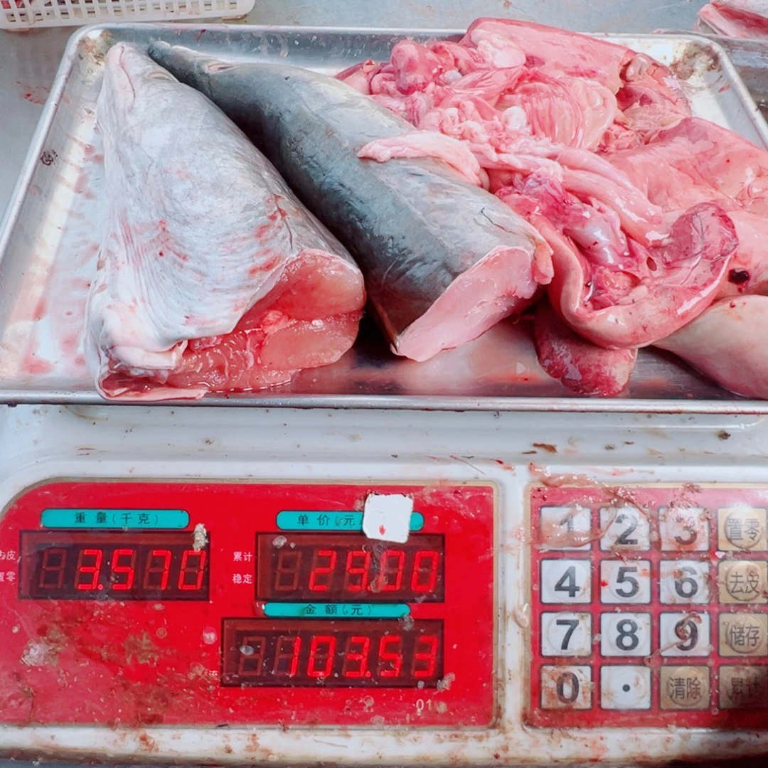 中国大陆两个鳗鱼头➕鱼杂