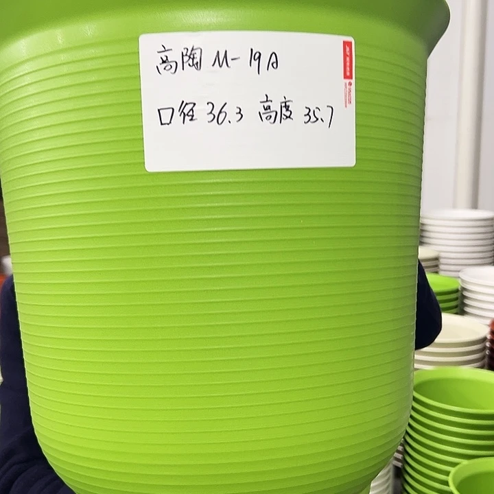 正品高陶口36高36果绿无托2个