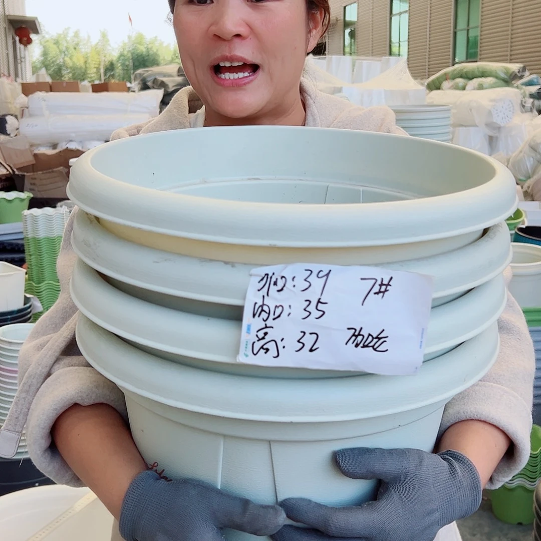 青山盆7#米白色5个无托
