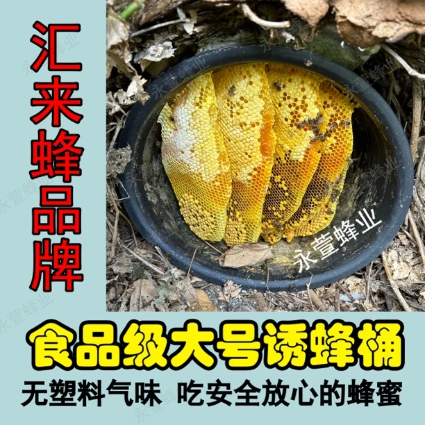 食品级诱蜂桶大号诱蜂桶养蜂桶招蜂桶收蜂桶
