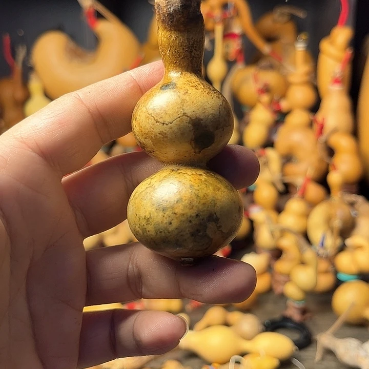 城*花皮葫芦天天开心