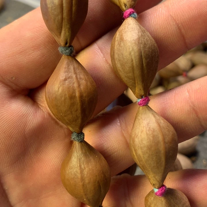 王****橄榄核手串/手链广东油核1.4