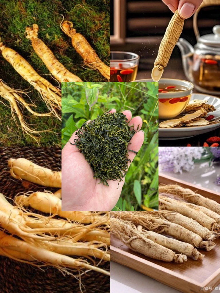 【彭彭现収山货】野-生-在-生-茶-250g-1000g食用农产品