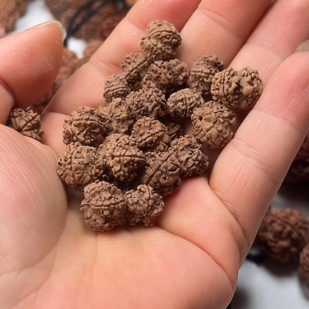 张***）金刚菩提手串13龙骨梅花