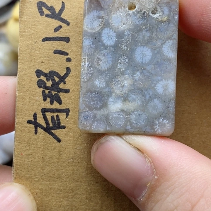 颈饰未镶嵌硅化珊瑚（珊瑚玉）